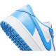 Air Jordan 1 Low Golf 'UNC'